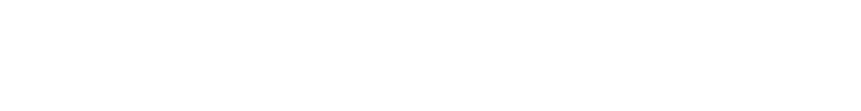Danetis CZ s.r.o.